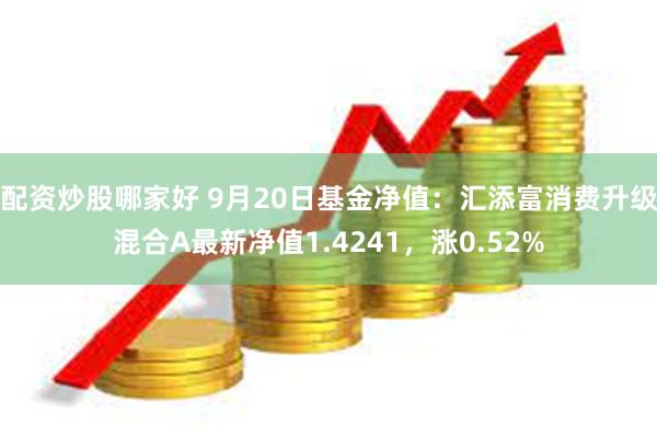 配资炒股哪家好 9月20日基金净值：汇添富消费升级混合A最新净值1.4241，涨0.52%