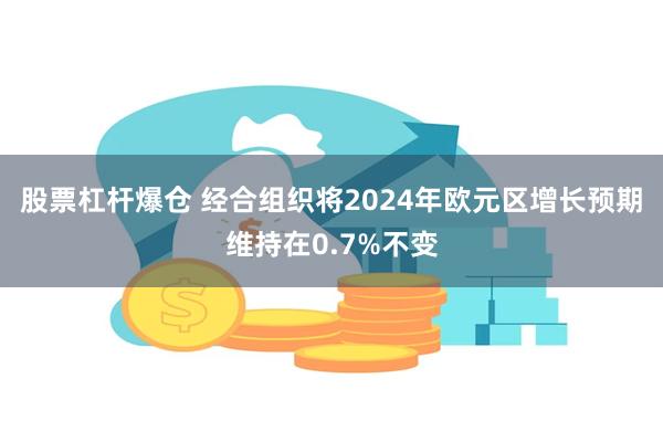 股票杠杆爆仓 经合组织将2024年欧元区增长预期维持在0.7%不变