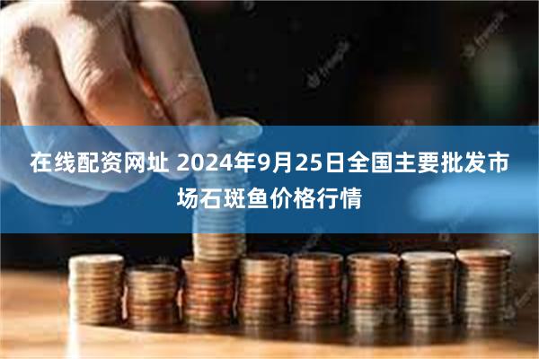 在线配资网址 2024年9月25日全国主要批发市场石斑鱼价格行情