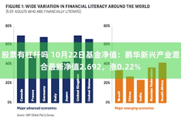 股票有杠杆吗 10月22日基金净值：鹏华新兴产业混合最新净值2.692，涨0.22%