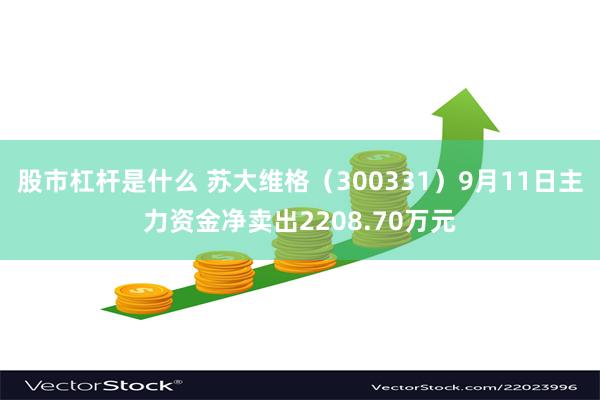 股市杠杆是什么 苏大维格（300331）9月11日主力资金净卖出2208.70万元