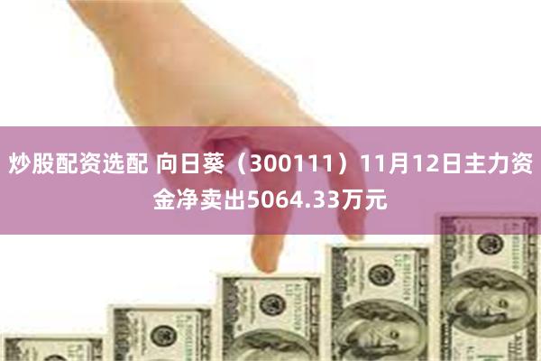 炒股配资选配 向日葵（300111）11月12日主力资金净卖出5064.33万元