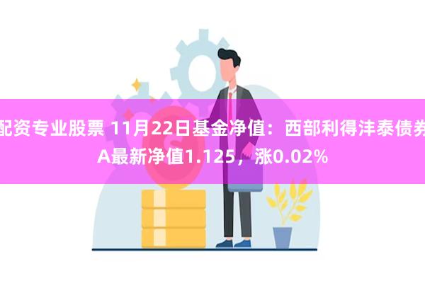 配资专业股票 11月22日基金净值：西部利得沣泰债券A最新净值1.125，涨0.02%