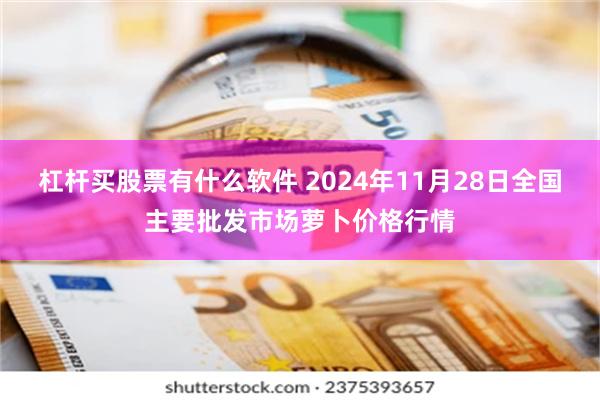 杠杆买股票有什么软件 2024年11月28日全国主要批发市场萝卜价格行情